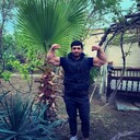 ���������� ������, ���� ������� ����, 41 ���, ������������ ��� ������, ����� � ���������, c�������� ���������