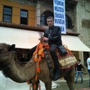 ���������� �����, ���� ������� �������, 41 ���, ������������ ��� ����� � ���������, c�������� ���������