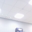 ���������� ����, ���� ������� ����, 41 ���, ������������ ��� ����� � ���������, c�������� ���������