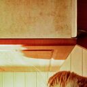 ���������� ������������, ���� ������� ���� �������, 49 ���, ������������ ��� ������, ����� � ���������, c�������� ���������