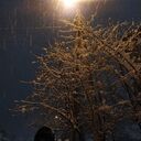 ���������� �����-�������, ���� ����� �������, 23 ����, ������������ ��� ���������