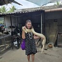 ���������� ������, ���� ������� ����, 49 ���, ������������ ��� ������, ����� � ���������, c�������� ���������