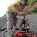  -,   , 42 ,   ,   , c 