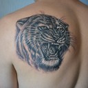 ���������� ������, ���� ������� ����, 38 ���, ������������ 