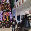 ���������� �����������-��-�����, ���� ������� ���������, 43 ����, ������������ ��� ������, ����� � ���������, c�������� ���������