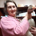 ���������� ��������, ���� ������� ������, 49 ���, ������������ ��� ������, ����� � ���������