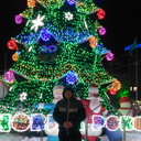 ���������� ����, ���� ������� �������, 37 ���, ������������ ��� ������, ����� � ���������, c�������� ���������