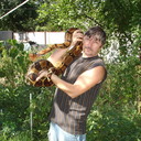 ���������� �������, ���� ������� ����, 56 ���, ������������ ��� ������, ����� � ���������, c�������� ���������