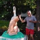 ,   , 56 ,   