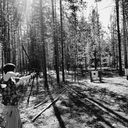  ,   STIVEN KING, 24 ,   ,   