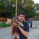 ���������� �������, ���� ������� ����, 41 ���, ������������ ��� ����� � ���������, c�������� ���������