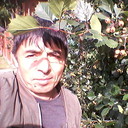   ,   , 55 ,  