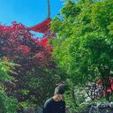 ���������� �����, ���� ����� ������, 21 ���, ������������ ��� ������, ����� � ���������