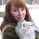 ���������� ���������, ���� ������� �����, 52 ����, ������������ ��� ������, ����� � ���������, c�������� ���������