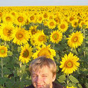 ���������� ���������, ���� ������� ������, 37 ���, ������������ ��� ������