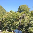  -,   , 50 ,   ,   , c 