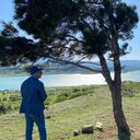 ���������� �������, ���� ������� Dadu, 37 ���, ������������ ��� ������, ����� � ���������