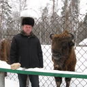 ���������� ���������, ���� ������� ��������, 62 ����, ������������ ��� ������, ����� � ���������, c�������� ���������