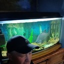 ���������� ��������, ���� ������� �������, 52 ����, ������������ ��� ����� � ���������, c�������� ���������