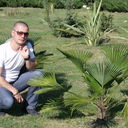 ���������� �������, ���� ������� SER, 47 ���, ������������ ��� ������, ���������