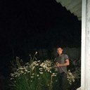  ,   , 41 ,  