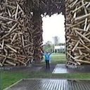 ���������� ��������, ���� ������� ���, 65 ���, ������������ ��� ������, ����� � ���������, c�������� ���������