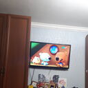 ���������� ������, ���� ������� �������, 48 ���, ������������ ��� ����� � ���������, c�������� ���������