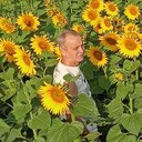  ,   , 51 ,   ,   