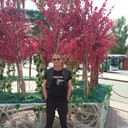 ���������� ������, ���� ������� ��������, 56 ���, ������������ ��� ������, ����� � ���������, c�������� ���������