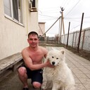 ���������� ���������, ���� ������� ���������, 38 ���, ������������ ��� ����� � ���������, c�������� ���������