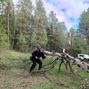 ���������� �����������, ���� ������� �������, 47 ���, ������������ ��� ����� � ���������, c�������� ���������