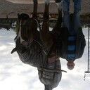 ���������� ����������, ���� ������� �������, 42 ����, ������������ ��� ������, ����� � ���������, c�������� ���������