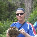 ���������� �����, ���� ������� ����, 43 ����, ������������ ��� ����� � ���������, c�������� ���������