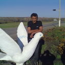  ,   Naif, 64 ,   ,   , 