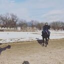 ���������� ������-��-����, ���� ����� �����, 21 ���, ������������ ��� ������, ����� � ���������, c�������� ���������