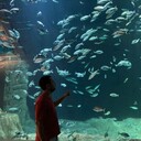 ���������� �������, ���� ������� �����, 37 ���, ������������ ��� ������, ����� � ���������