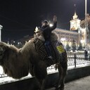 ���������� ������������, ���� ������� ������, 46 ���, ������������ ��� ������, ����� � ���������, c�������� ���������