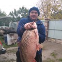  ,   , 54 ,   