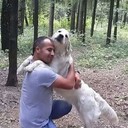 ���������� ��������, ���� ������� ����, 45 ���, ������������ ��� ������, ����� � ���������, c�������� ���������