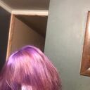 ���������� �����������-��-�����, ���� ����� ������, 24 ����, ������������ ��� ������, ����� � ���������, ���������