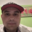  ,   Wasps, 41 ,   ,   , c 