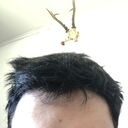 ���������� �����, ���� ����� �����, 21 ���, ������������ ��� ������, c�������� ���������