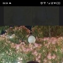  ,   , 49 ,   ,   , 
