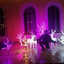 ���������� �����-���������, ���� ������� �������, 28 ���, ������������ ��� ������, ����� � ���������