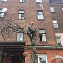 ���������� ������, ���� ������� ���������, 33 ����, ������������ ��� ������, ����� � ���������, c�������� ���������