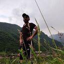  ,   DAVID, 35 ,   ,   , c , 