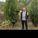  --,   , 63 ,   ,   