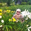 ���������� ����, ���� ������� �����, 55 ���, ������������ ��� ������, ����� � ���������