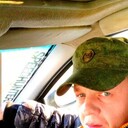 ���������� ������, ���� ������� ���������, 42 ����, ������������ ��� ���������