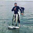 ���������� ������, ���� ������� ��������� �, 33 ����, ������������ ��� ����� � ���������